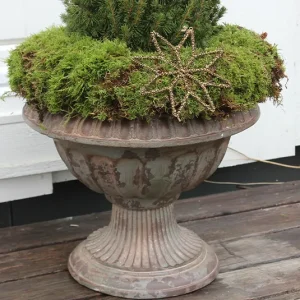 Topf Pokal Taro groß