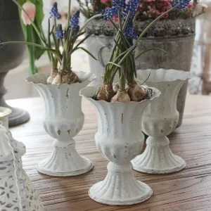 Pokal, Topf Juna hoch weiß