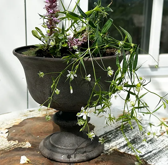 Topf, Vase Rustic Metall – Bild 4