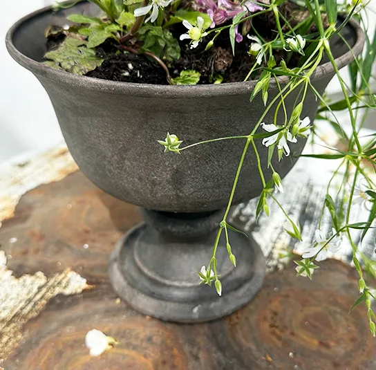 Topf, Vase Rustic Metall – Bild 5