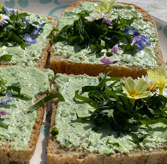 Primula elatior – Hohe Schlüsselblume – Bild 6