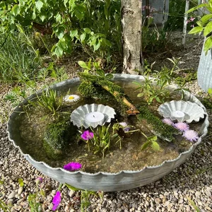 Pulsatilla Wasserschale groß