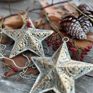 Stern gold-grün mit Kette