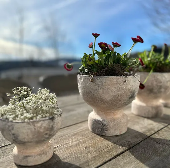 Schale, Übertopf Runa – Bild 9