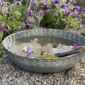 Schale Pulsatilla – Wasserschale klein