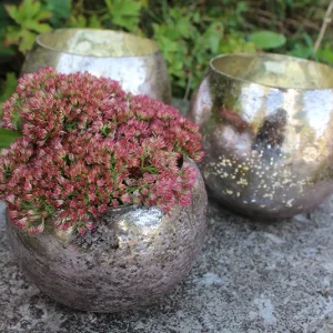 Windlicht, Vase, Übertopf Sparkling rosé