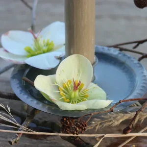 Kerzenspieß rund mit Teller