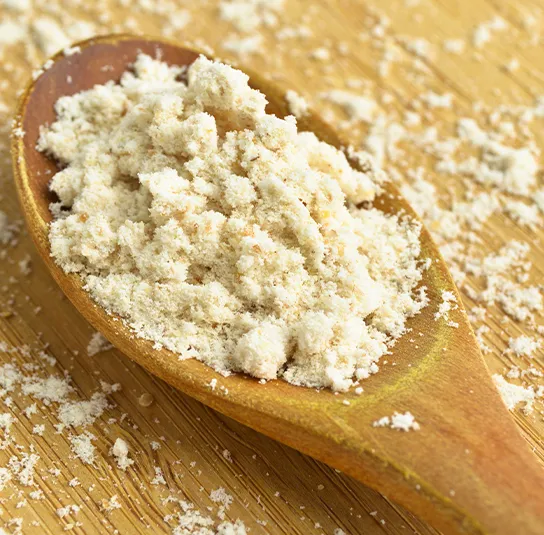 Prunus mahaleb – Steinweichsel – Bild 4