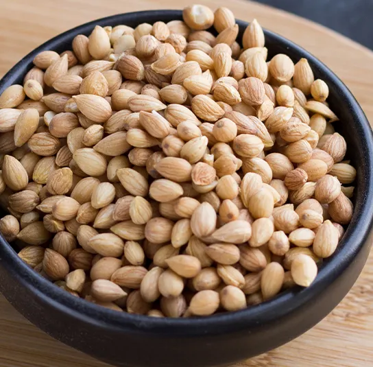 Prunus mahaleb – Steinweichsel – Bild 5