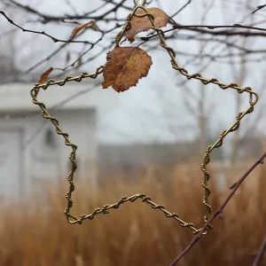 Stern zum Hängen Perlen gold