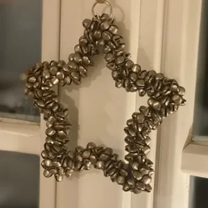 Stern Glöckchenstern