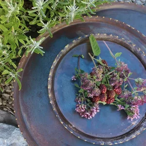 Teller, Tablett Lauri