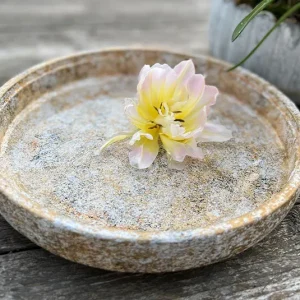 Schale creme/orange, Vogelwasserschale