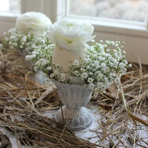 Set – Topf Juna inkl. Gänseei