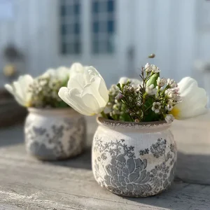 Topf Myosotis bauchig