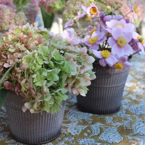 Topf, Übertopf Sedum rosé