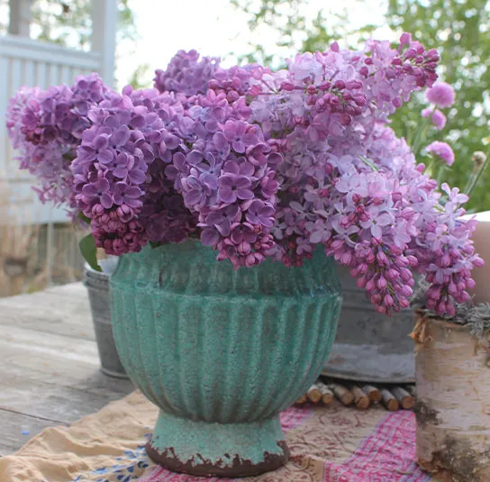 Übertopf, Vase – Lana antique – Bild 4