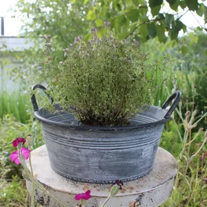 Topf, Pflanztopf Luca