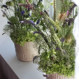 Topf, Übertopf Romina creme