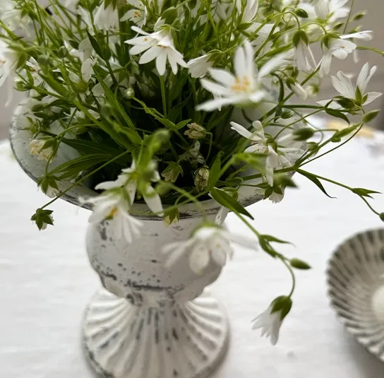 Pokal Yeli hoch weiß – Bild 7