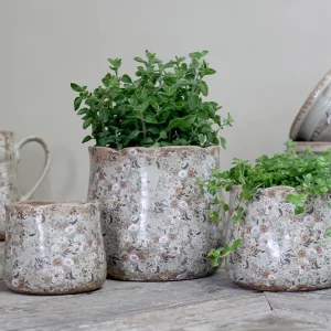 Übertopf Herbstwiese