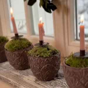 DIY Set – Übertopf Tussani