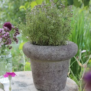 Übertopf, Topf Linus