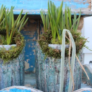 Übertopf Livio himmelblau