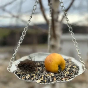 Vogel Futterstation – bird feeder