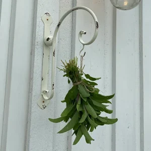 Wandaufhang Rosmarin