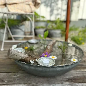 Wasserschale groß inkl. Pflanzen – nährstoffreich