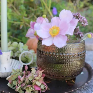 Windlicht, Vase Jorden