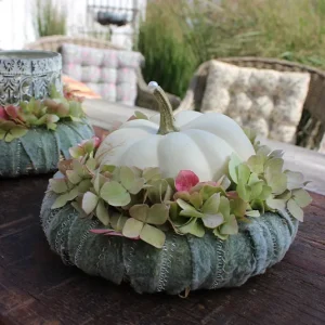 Wollziest-Kranz – Set mit Kürbis